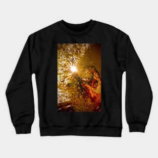 Counselor - Vipers Den - Genesis Collection Crewneck Sweatshirt